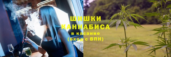 стаф Кулебаки