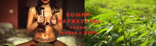 прущий лед Пестово