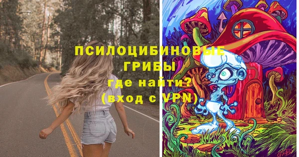 прущий лед Пестово